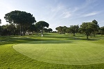 Golf Clubs in Aurora - Things to Do In Aurora